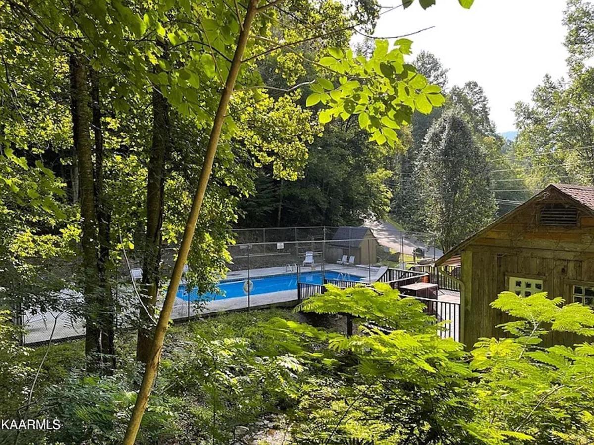 Hawks View Gatlinburg Mountain Cabin Εξωτερικό φωτογραφία